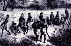 ARCHIVES - Histoire de l'esclavage en Martinique